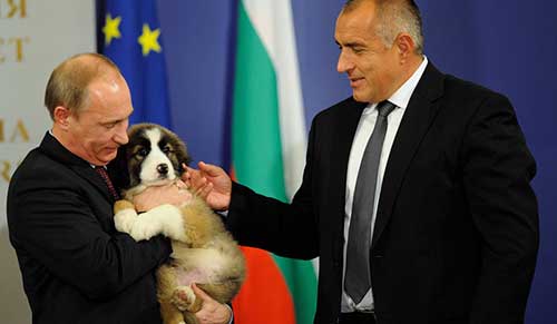 Chú chó Buffy của tổng thống Nga Putin