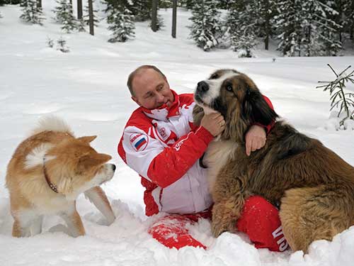 Tổng thống Putin chơi đùa với 2 chú chó