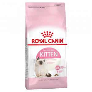 Royal Canin Kitten cho mèo